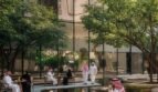 الصورة